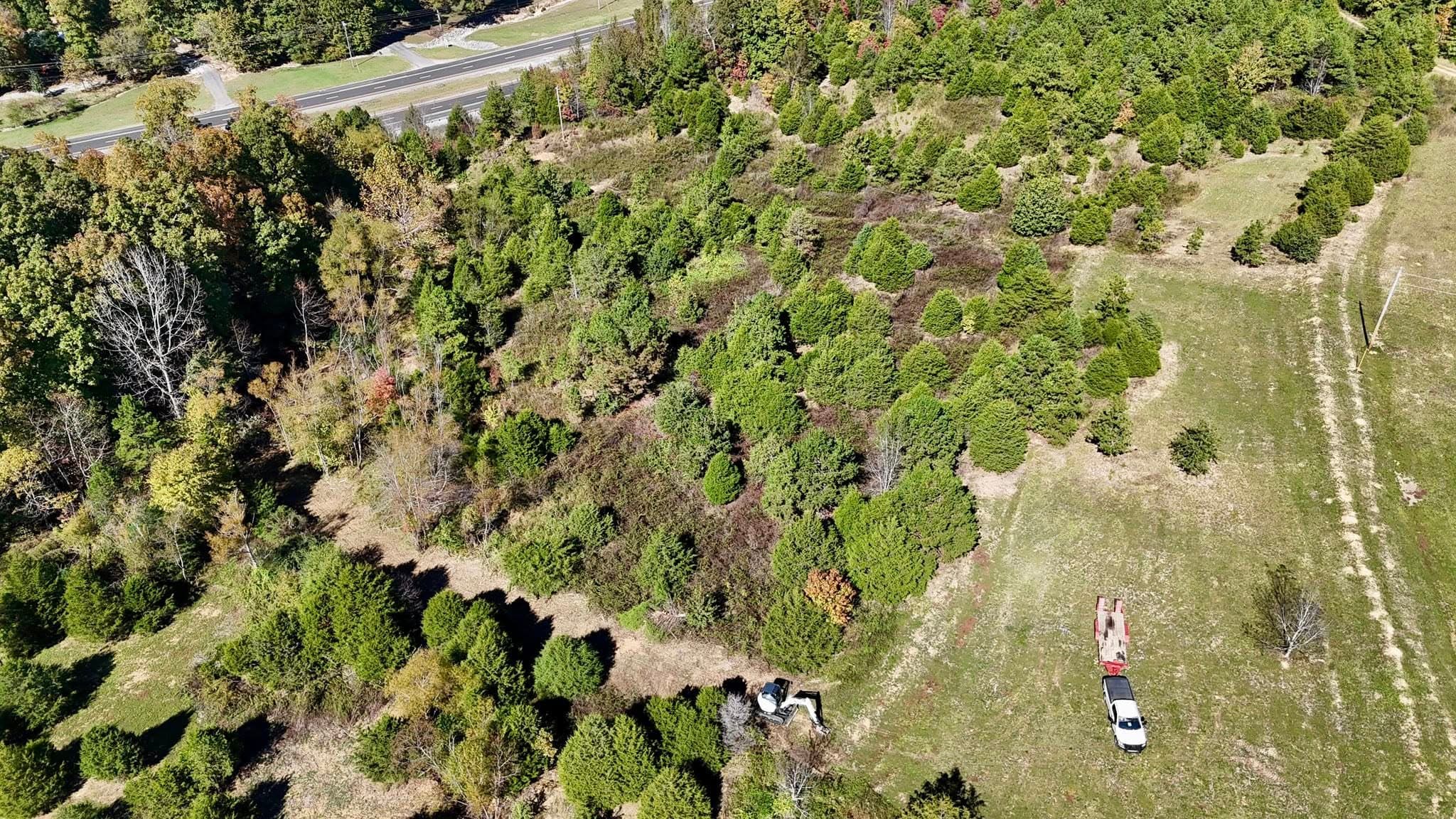 Aerial view of a forested area with trees and a road, showcasing nature's diversity.