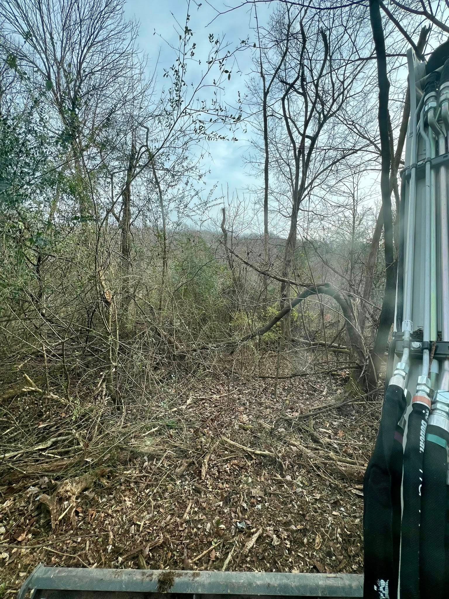 Cleared landscape with trees and brush in a natural setting, viewed from machinery.