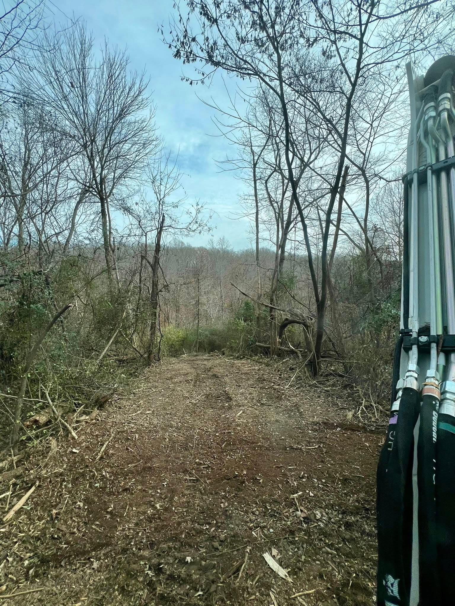 Cleared forest path with bare trees and tools in the foreground, leading into dense woods.